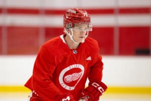 Red Wings Prospect in Hot Water With Swedish Disciplinarians