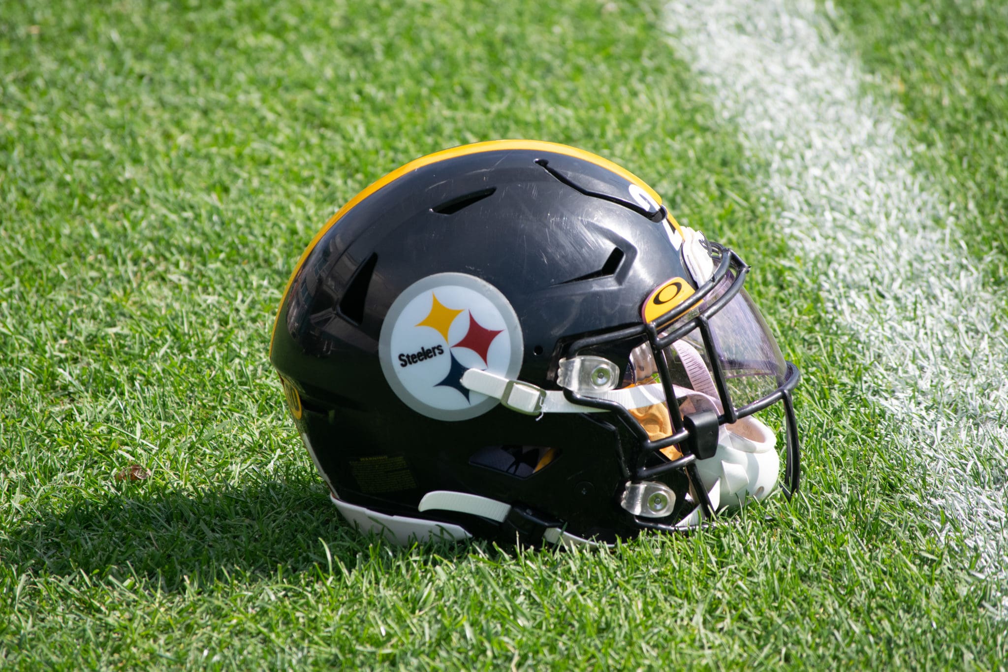 Porter hired by Steelers as defensive assistant, Sports