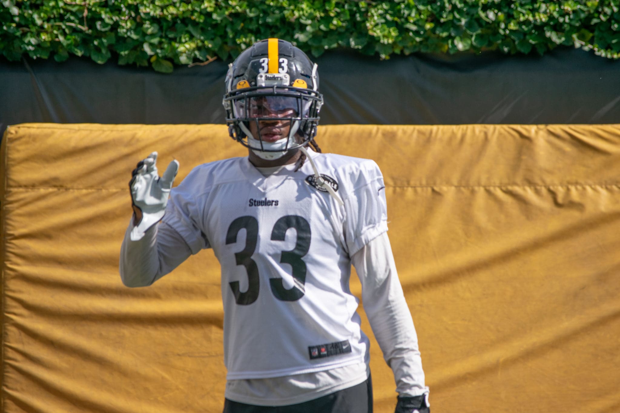 Steelers special teams make big play on big day for the Edmunds brothers