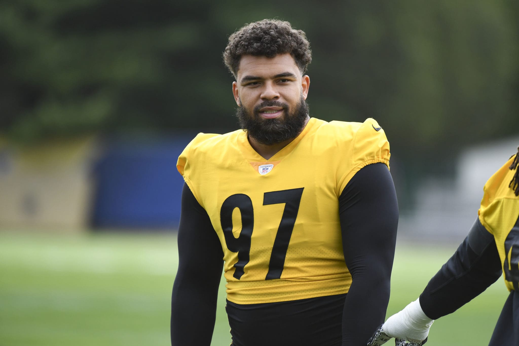 Cameron Heyward