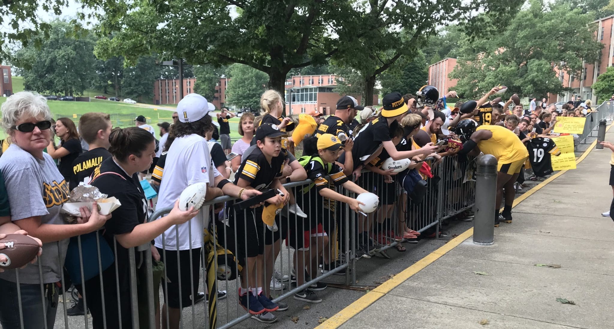 Steelers Fans Training Camp